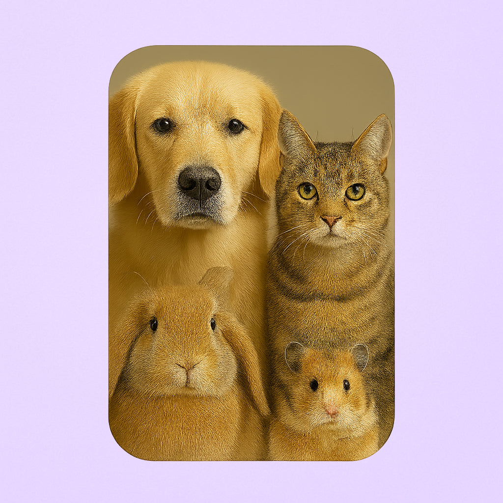 Magnet décoratif personnalisé avec photo ou texte, idéal pour frigo ou tableau magnétique.