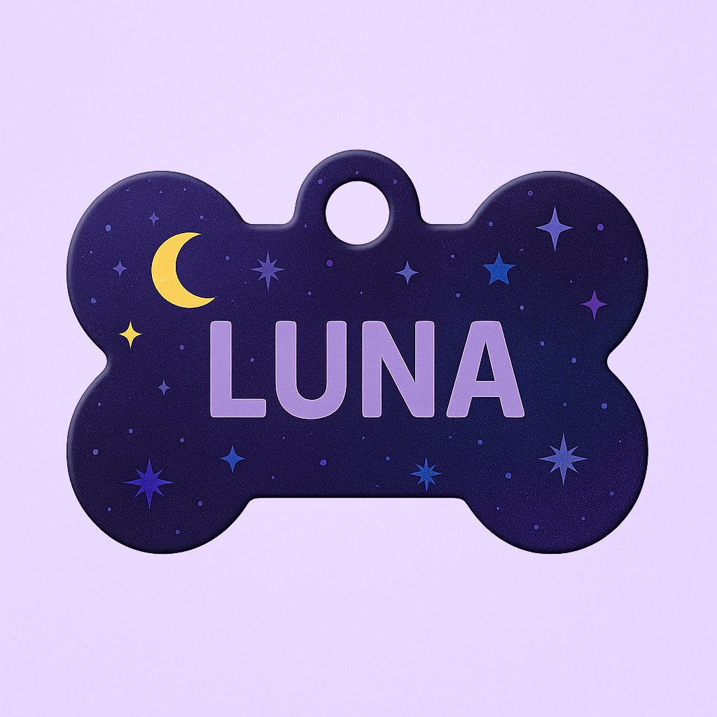 Plaque en forme d’os personnalisée avec prénom et numéro, accessoire indispensable pour chien.